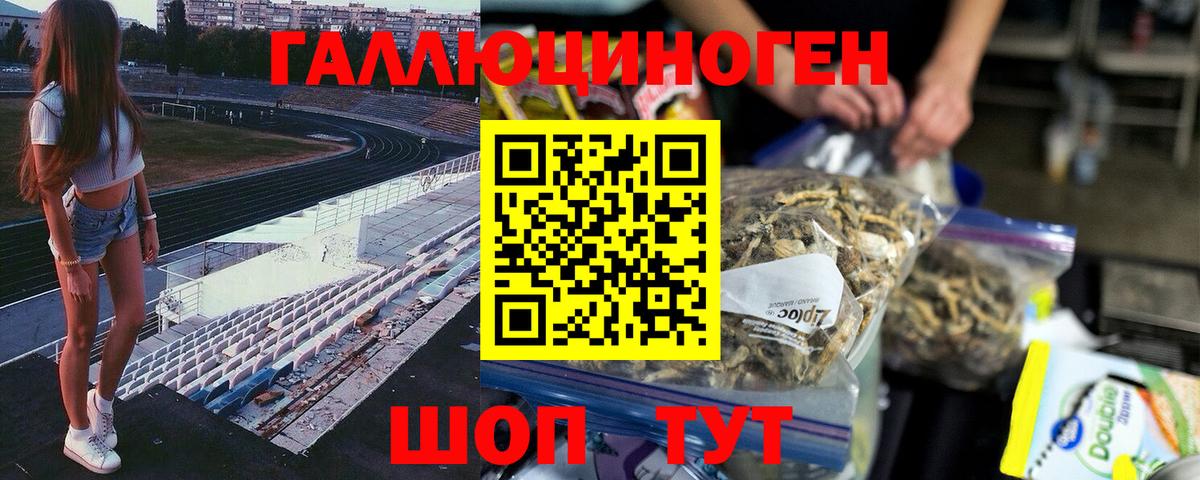 Псилоцибиновые грибы мухоморы  Вход с VPN  Камышин 